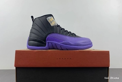 Jordan 739 Retro CT8013-057 EasyMatch Air 12 1117